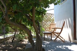 A garden outside Andrea E Valentina