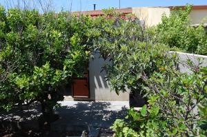 A garden outside Andrea E Valentina