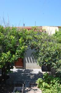 A garden outside Andrea E Valentina