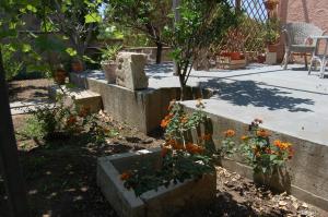 A garden outside Andrea E Valentina