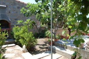 A garden outside Andrea E Valentina