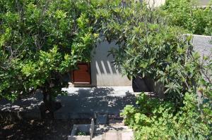 A garden outside Andrea E Valentina