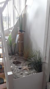 a staircase with plants and a bird on the stairs at Ferienwohnung "Baltic Stuuv" in Heiligenhafen