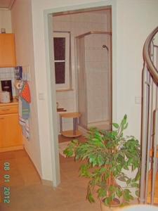 a kitchen with a plant in the middle of a room at Am Deich 33 in Zingst