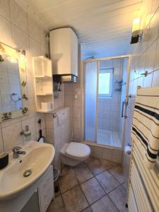 ein Bad mit einem Waschbecken, einem WC und einer Dusche in der Unterkunft Ferienwohnung Rosenthal in Grömitz