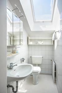 a bathroom with a sink and a toilet and a skylight at Knusthof - Wohnung 2 in Strukkamp auf Fehmarn