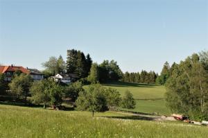 een groen veld met bomen en huizen op de achtergrond bij Chalet Charbonnier in Wolpadingen