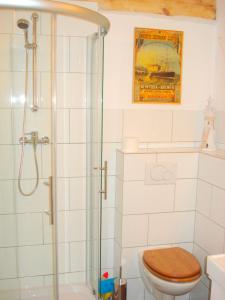 a bathroom with a toilet and a glass shower at "Rosenkate 1" in Riepsdorf