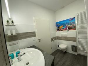 een badkamer met een wastafel en een toilet bij Alte Molkerei FeWo 2 in Zilly
