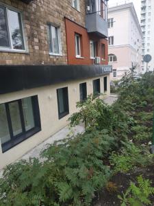 Gallery image of EP Boutique Hotel Askold in Vladivostok