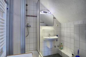 a bathroom with a sink and a mirror and a shower at Altes Wasserwerk, App 8 in Zingst