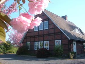 una casa con flores rosas delante de ella en Appartement Altes Land Jork bei HH en Jork
