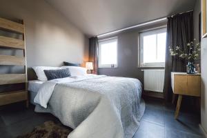 a bedroom with a bed and two windows at Whg 16 - Sol in Zingst