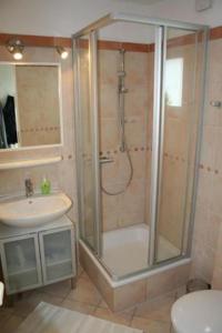 a bathroom with a shower and a sink at Ferienhaus 3370 in Tossens in Butjadingen OT Tossens