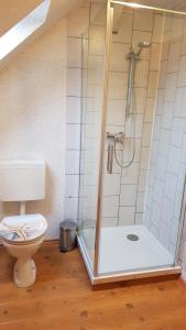 ein Bad mit einer Dusche und einem WC in der Unterkunft Ferienhof Meier, Fewo Pusteblume in Eversmeer