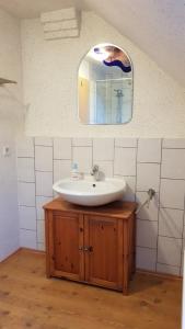 ein Bad mit einem Waschbecken und einem Spiegel in der Unterkunft Ferienhof Meier, Fewo Pusteblume in Eversmeer