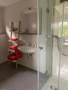 La salle de bains est pourvue d'un lavabo et d'une douche. dans l'établissement Eifel Holiday, à Prüm