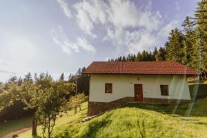 a small white house with a red roof at Cottage Planska koča in Vitanje