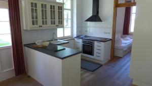 a kitchen with a stove and a counter top at Gut Rattelvitz, Parterre A in Gingst