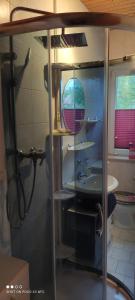 a bathroom with a shower with a sink and a shower at Fewo 1 in Sassnitz