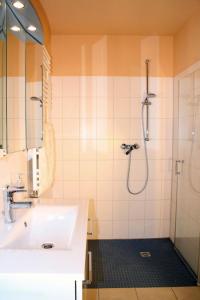 uma casa de banho com um chuveiro e um lavatório. em Kamaahr em Friedenstal