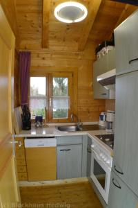 a kitchen with wooden walls and a wooden ceiling at Blockhaus Hedwig Haus 10 in Stamsried
