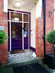 a cat sitting in front of a purple door at The Claremont in Woodhall Spa