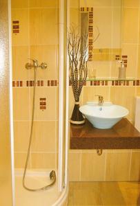 ein Bad mit einem Waschbecken und einer Dusche in der Unterkunft Eden 1 Zimmer Appartment in Hoppegarten