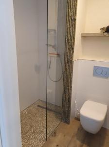 a bathroom with a toilet and a glass shower at Fehmarn-OstseeferienStrandresidenz VogelflugApp 9 in Fehmarnsund