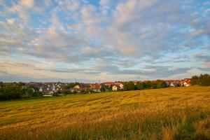 a field of grass with houses in the background at Ferienwohnung Erbachstraße in Waiblingen
