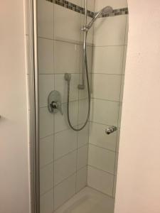 a shower in a bathroom with a glass door at Hanni und Nanni in Haldenwang