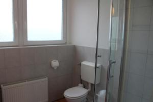 a bathroom with a toilet and a glass shower at Haus Wagner App 2 in Heiligenhafen