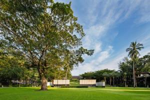 Jardí fora de The Slate, Phuket