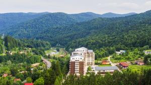un edificio en medio de un valle con montañas en Apartament Maza, en Sinaia