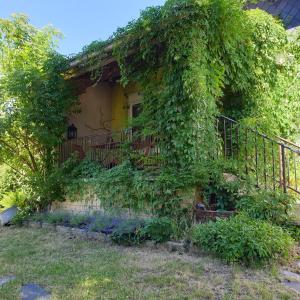 a building covered in ivy with a fence at " Fernweh " in Sonneberg