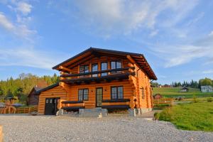 瓦特拉多尔内Casa Poligonului的天空中的小木屋