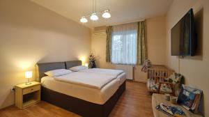 1 dormitorio con 1 cama y TV de pantalla plana en Fövenyes House Grande en Balatonudvari