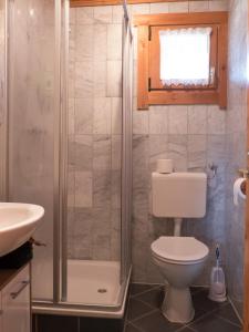 a bathroom with a toilet and a shower and a sink at Ferienhaus Nr 24, Typ A, Feriendorf Jägerpark, Bayerischer Wald in Viechtach