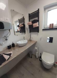 een badkamer met een wastafel, een toilet en een spiegel bij Le DiamanSter Francorchamps in Stavelot