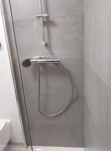 a shower with a glass door in a bathroom at Le DiamanSter Francorchamps in Stavelot +41 photos