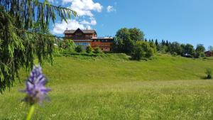 Zahrada ubytování Hotel da Barba B&B