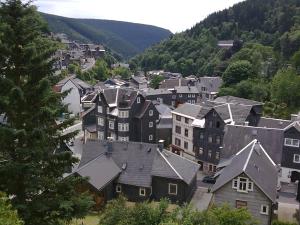 an aerial view of a town in the mountains at Waldblick - a48825 in Lauscha