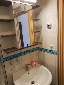 a bathroom with a sink and a mirror at Waldblick - a48825 in Lauscha