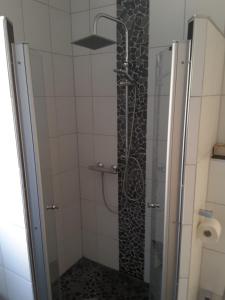 La salle de bains est pourvue d'une douche et d'une porte en verre. dans l'établissement Ferienwohnung-Zoe, à Saint-Wendel