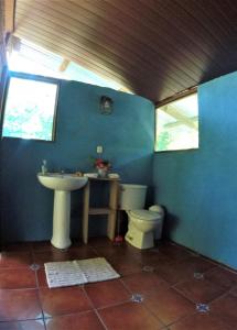La salle de bains est pourvue d'un lavabo et de toilettes. dans l'établissement Haus mit trop Garten am Cahuita Nationalpark, à Comadre