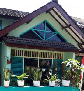 a house with potted plants in front of it at Samikrasan Homestay in Tlekung