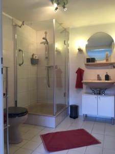 a bathroom with a shower and a toilet and a sink at Stockrose in Schashagen