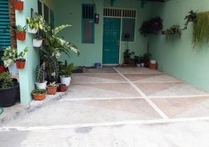 a house with a blue door and some potted plants at Samikrasan Homestay in Tlekung +2 photos