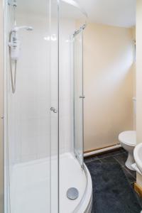a bathroom with a shower and a toilet at The Pine Lodge in Aberystwyth