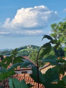 vistas a una casa con techo en Ferienwohnung Augustin, en Kirchberg